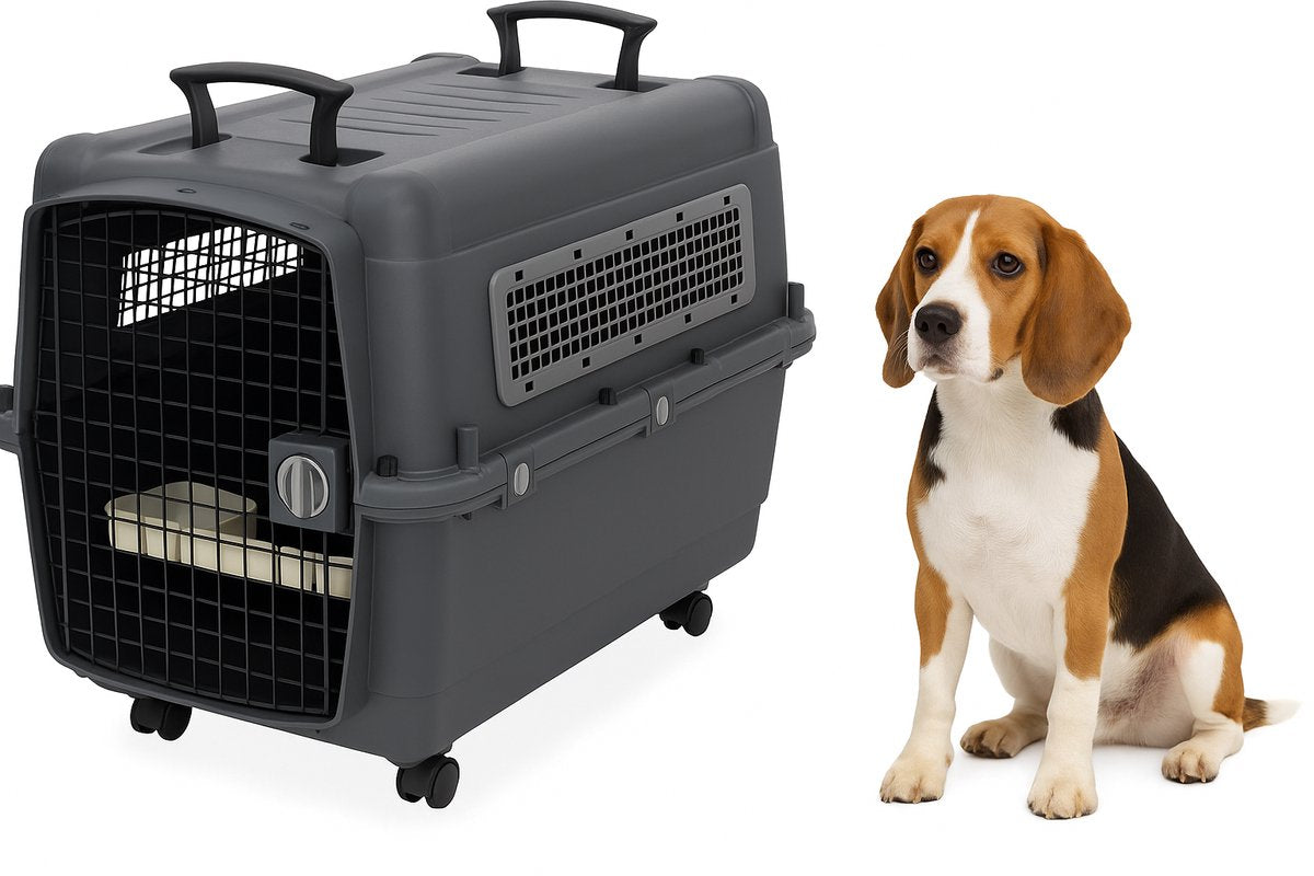 Flamingo reisbench hond – autobench – transportbox hond l 80x56x65,5 cm – transportkooi lanta donkergrijs-0