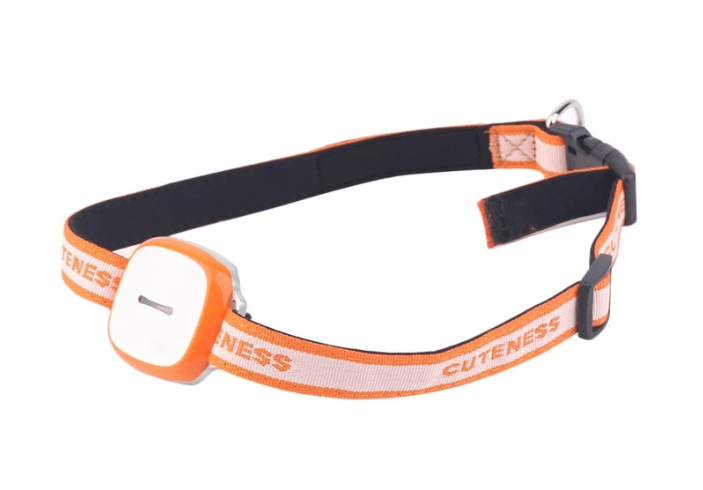 Pet Trackpro-2