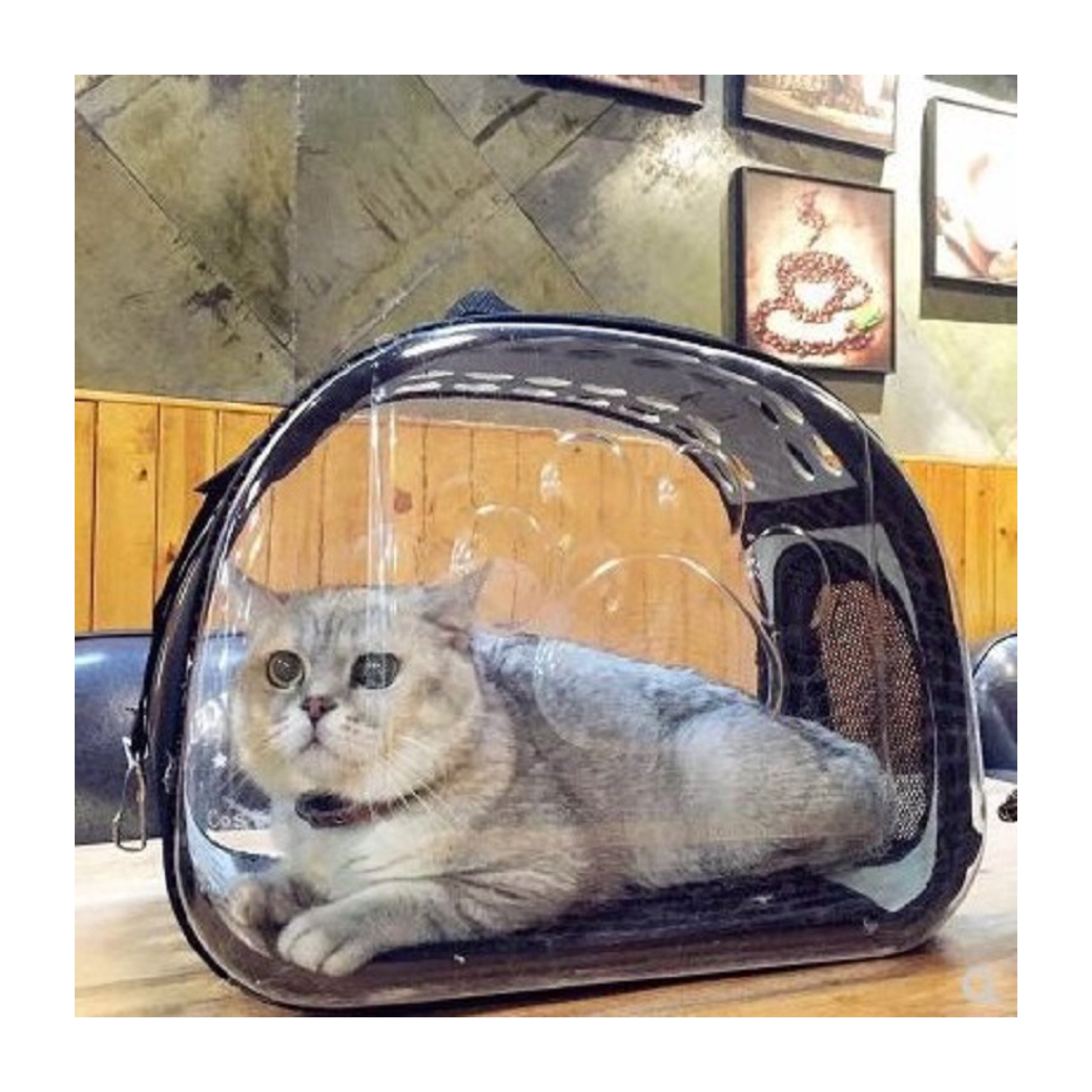 Draagtas voor Katten en Honden