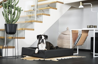 Bia bed hondenmand original zwart-2