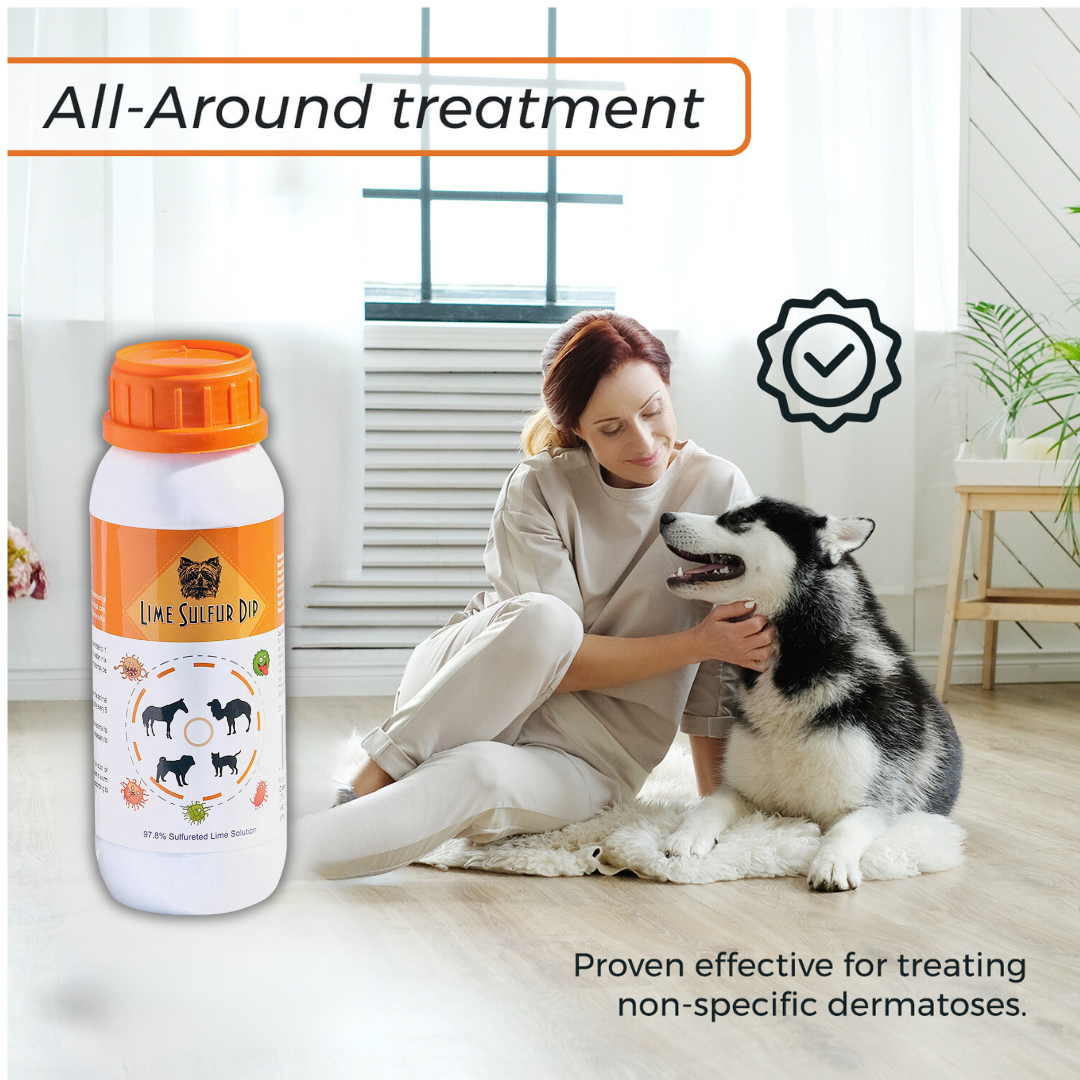 Skin & Coat Care Combo - Lime Sulfur Dip  and Sulfur Dog Shampoo-3