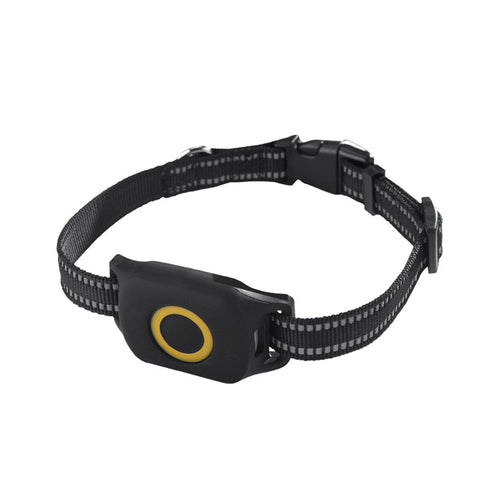 4G Wireless GPS Dog Tracker Suitable for Outdoor Use-0
