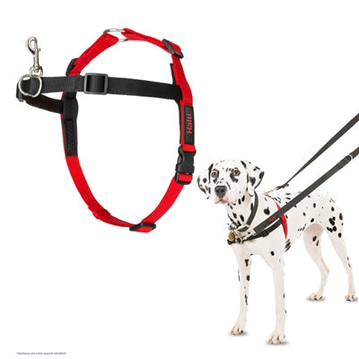 Halti – Front Control anti-trektuig – zwart – M – 58–86 cm