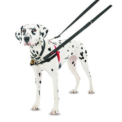 Halti – Front Control anti-trektuig – zwart – M – 58–86 cm