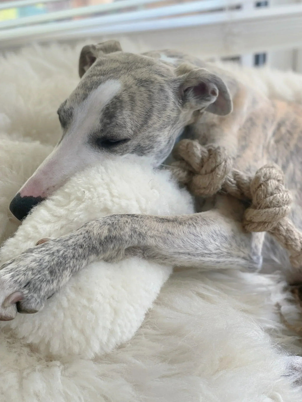 Mellow Pet Store – Wollen trektouwspeeltje – beige – S/M/L – wol met jute handvat