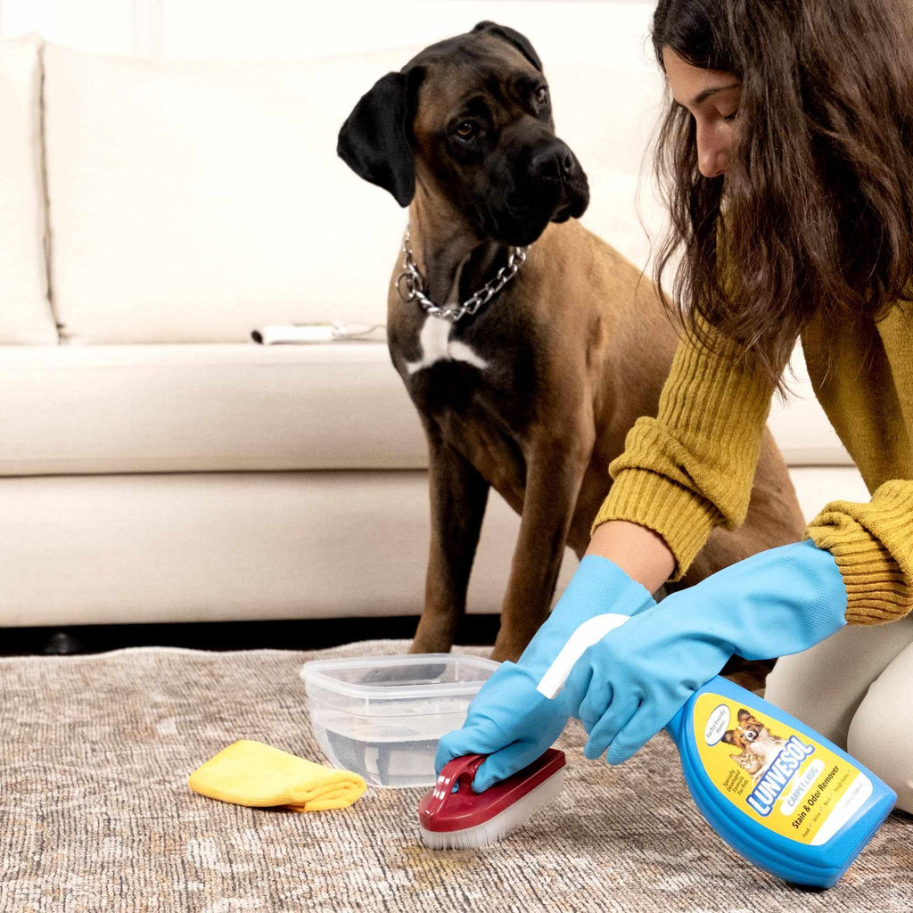 Pet Stain&Odor Remover-3