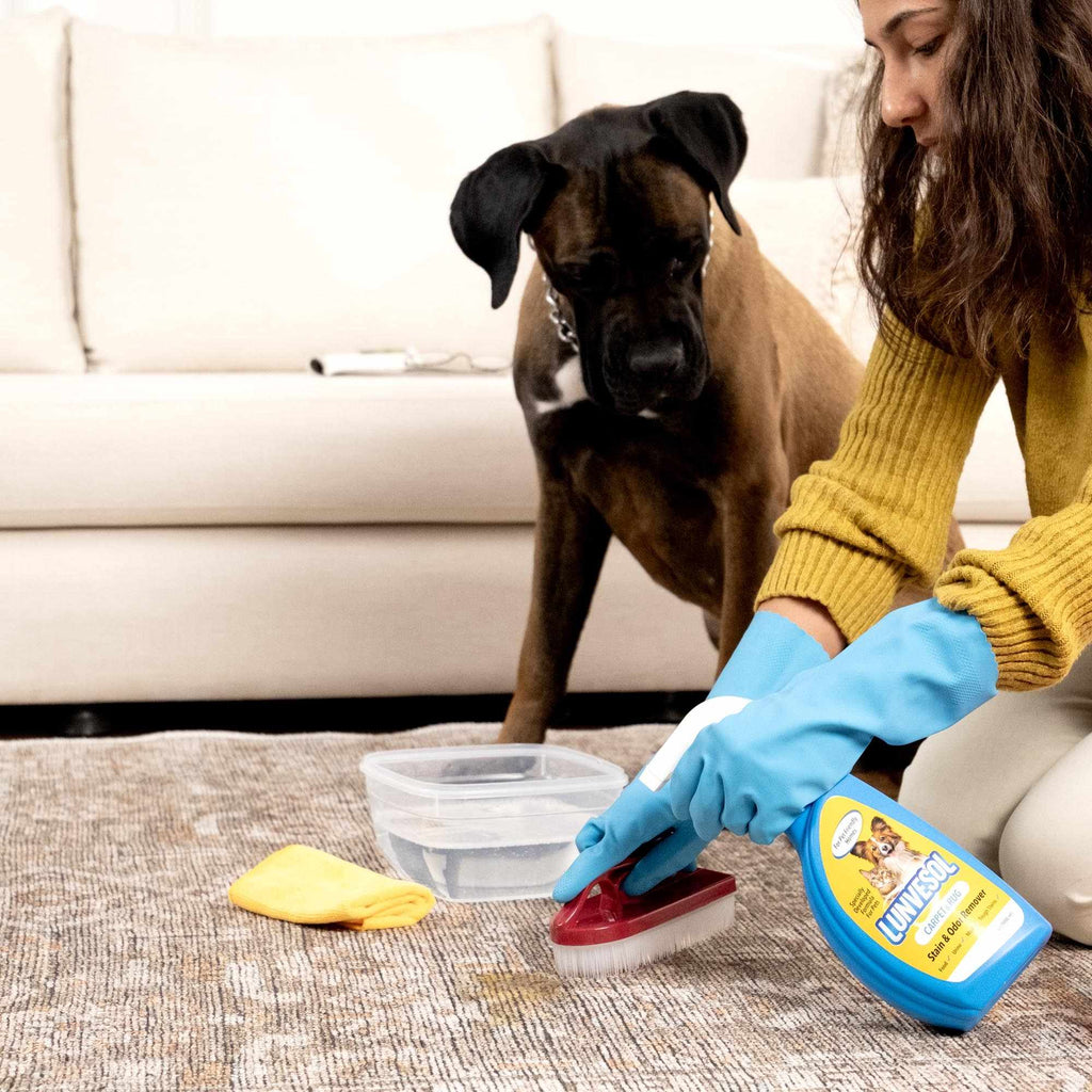 Pet Stain&Odor Remover-0