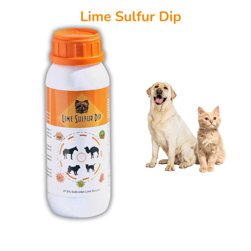Skin & Coat Care Combo - Lime Sulfur Dip  and Sulfur Dog Shampoo-2