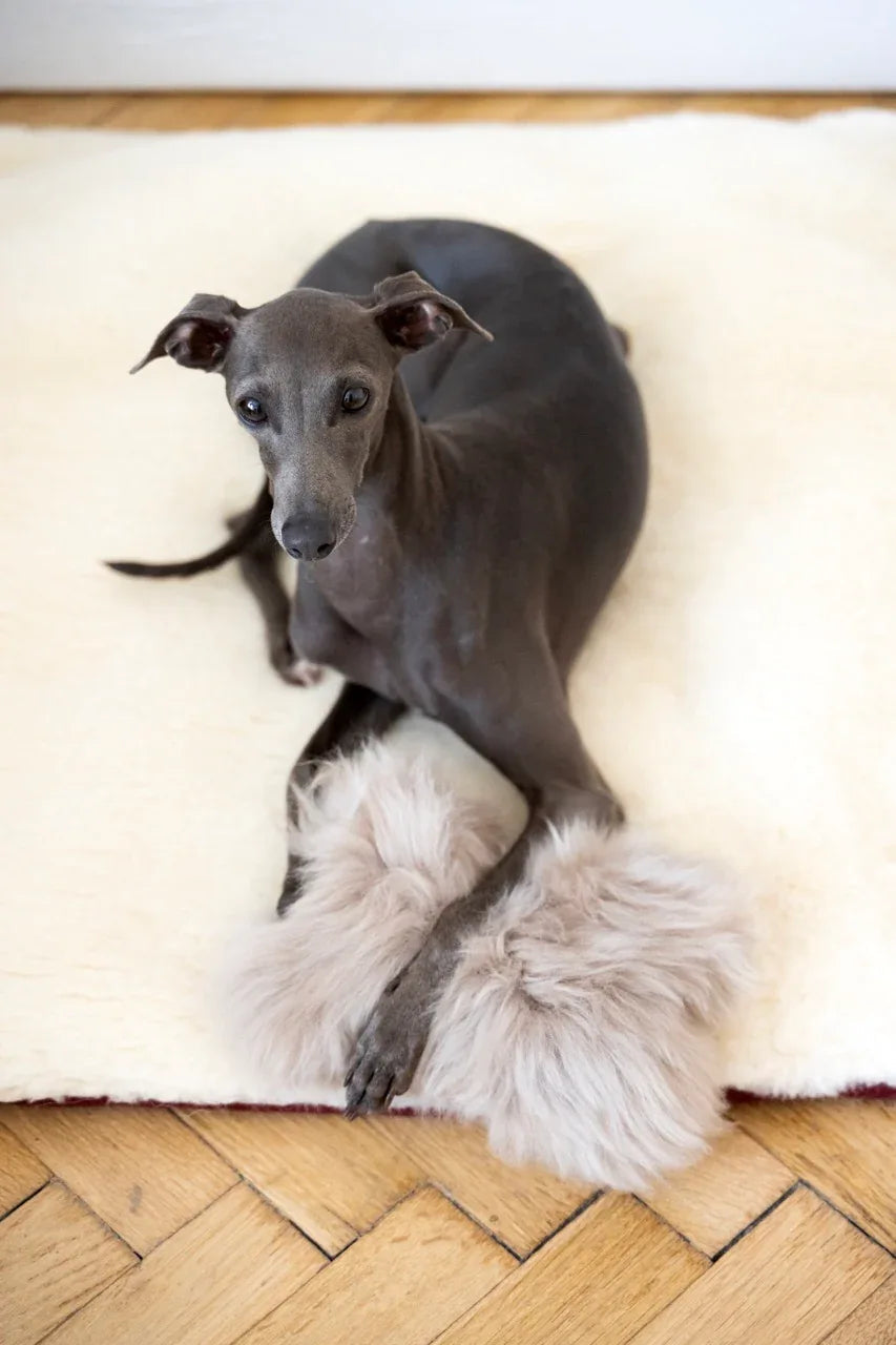Mellow Pet Store – Schapenvacht bothondenspeeltje – beige – S/M/L – 100% plantaardig gelooid