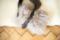 Mellow Pet Store – Schapenvacht bothondenspeeltje – beige – S/M/L – 100% plantaardig gelooid