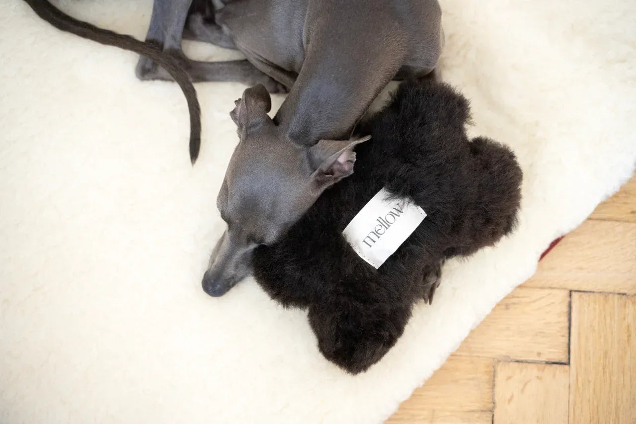 Mellow Pet Store – Schapenvacht bothondenspeeltje – zwart – S/M/L – 100% plantaardig gelooid