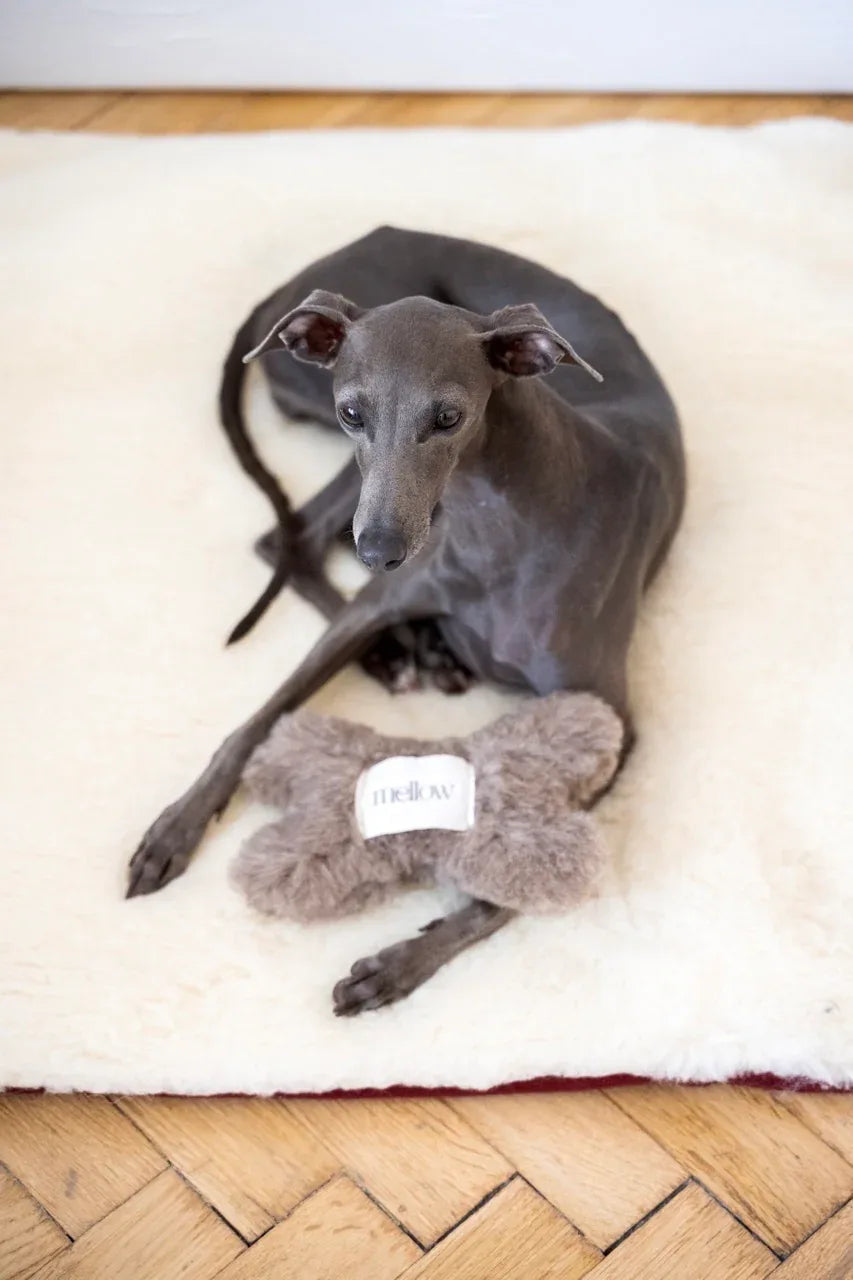Mellow Pet Store – Wollen bothondenspeeltje – beige – S/M/L – natuurlijke wol met belletje