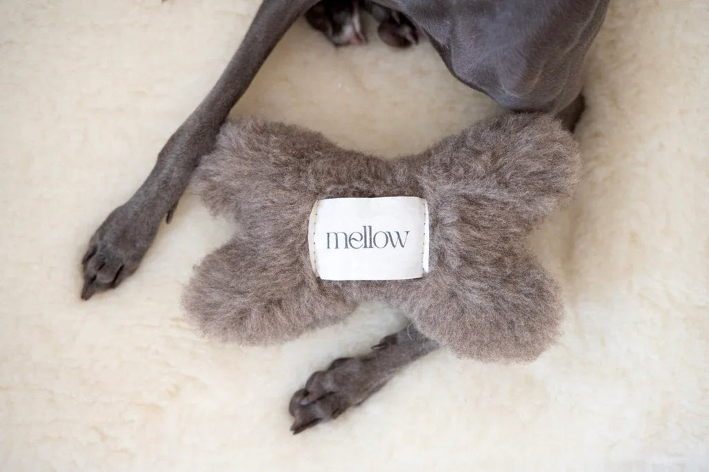 Mellow Pet Store – Wollen bothondenspeeltje – beige – S/M/L – natuurlijke wol met belletje