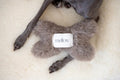 Mellow Pet Store – Wollen bothondenspeeltje – beige – S/M/L – natuurlijke wol met belletje