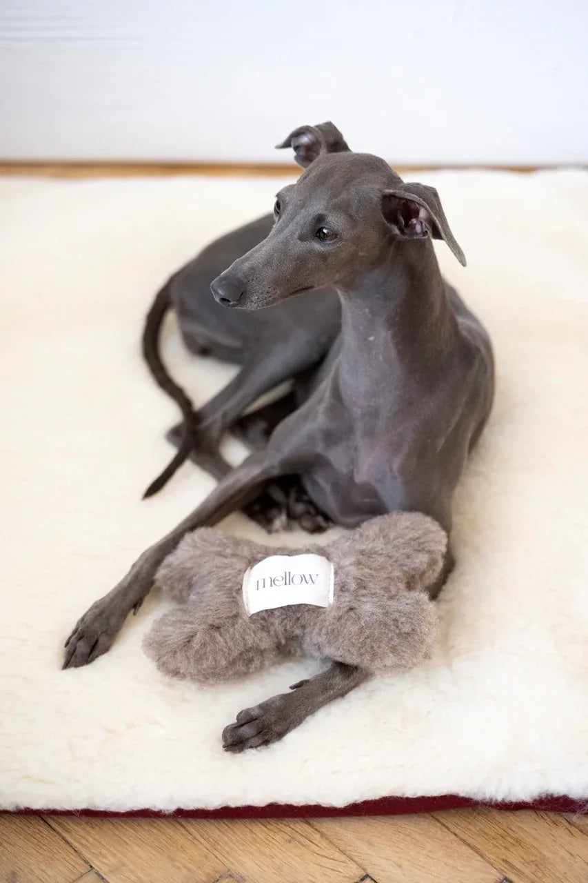 Mellow Pet Store – Wollen bothondenspeeltje – beige – S/M/L – natuurlijke wol met belletje