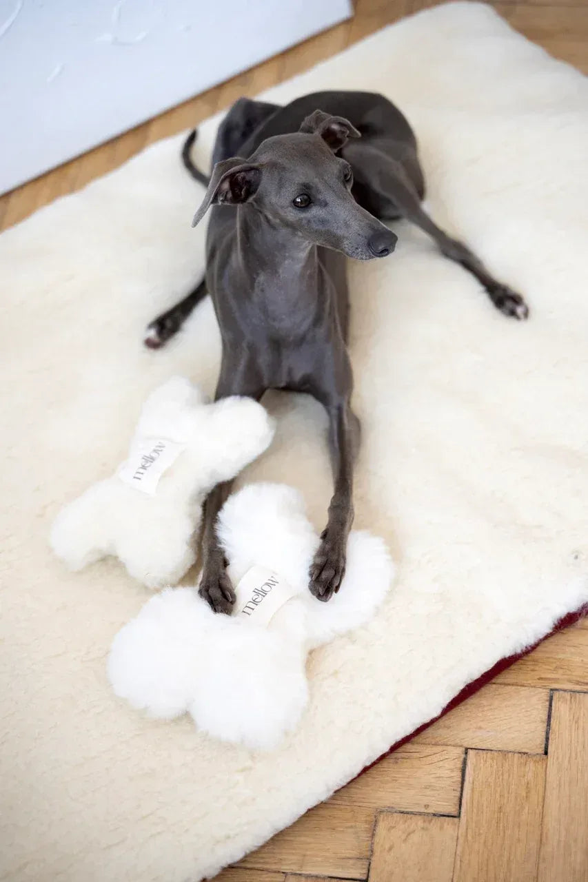 Mellow Pet Store – Wollen bothondenspeeltje – wit – S/M/L – natuurlijke wol met belletje