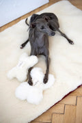 Mellow Pet Store – Wollen bothondenspeeltje – wit – S/M/L – natuurlijke wol met belletje