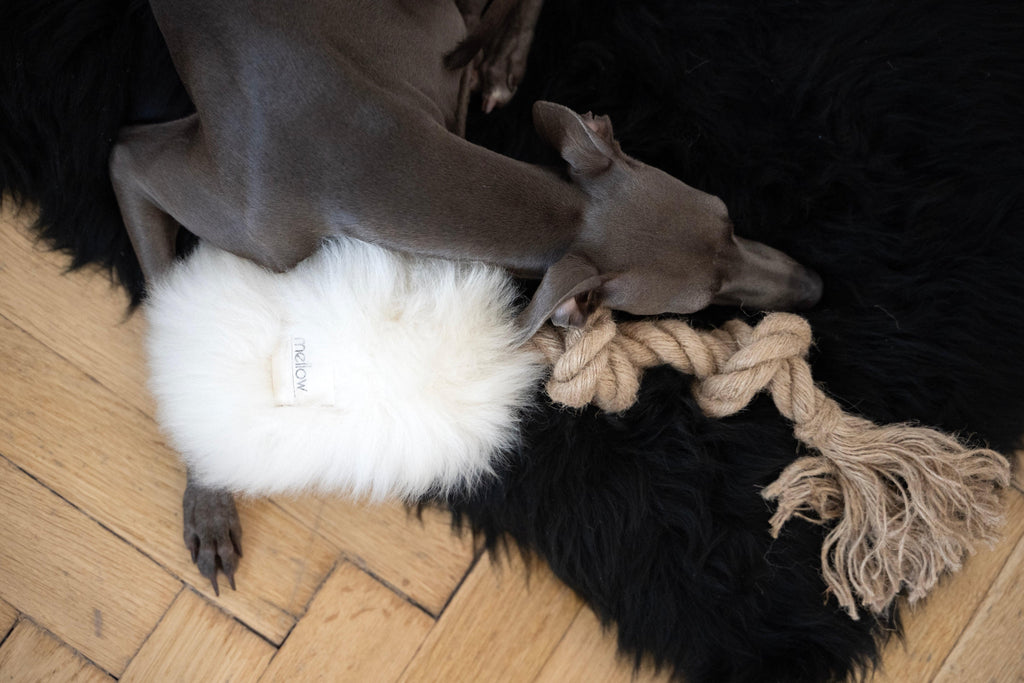Mellow Pet Store – Schapenvacht trektouwspeeltje – wit – S/M/L – 100% plantaardig gelooid