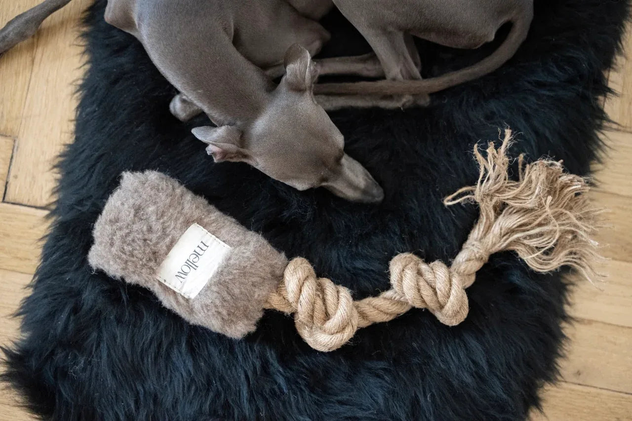 Mellow Pet Store – Wollen trektouwspeeltje – beige – S/M/L – wol met jute handvat