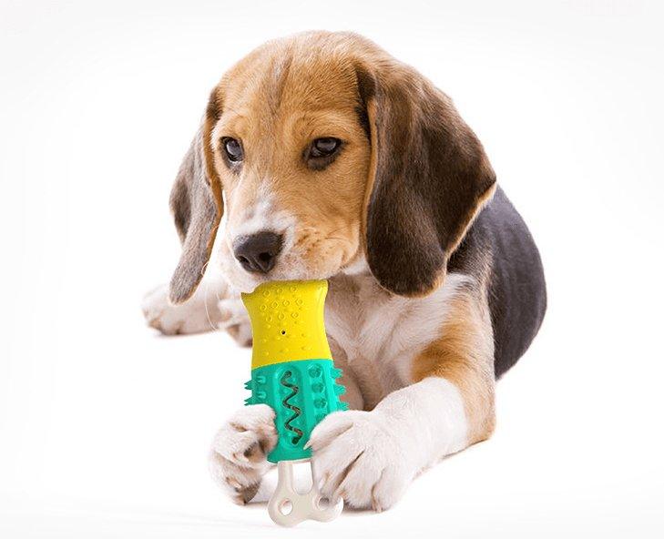 Dog Hugs Cat Cool Pup – Verkoelend kauwspeelgoed – TPR – bot- en ijslollyvorm